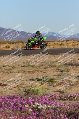 media/Jan-22-2023-CVMA (Sun) [[66d43cdebf]]/Race 17 Amateur Formula Open/